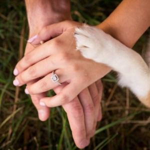 Meet your Posher, Devin